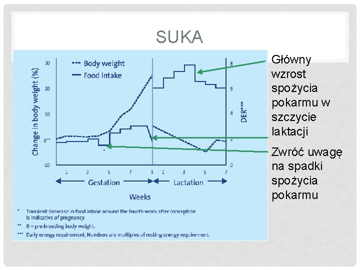 SUKA Główny wzrost spożycia pokarmu w szczycie laktacji Zwróć uwagę na spadki spożycia pokarmu