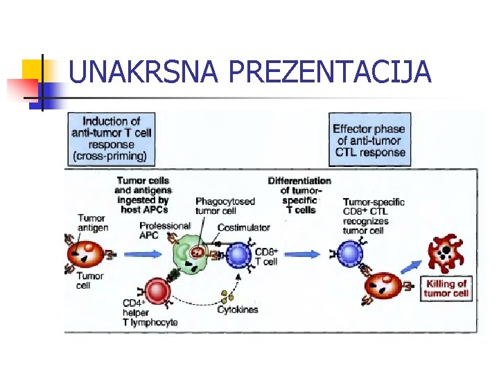 UNAKRSNA PREZENTACIJA 