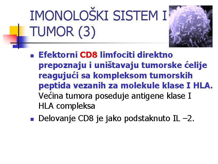 IMONOLOŠKI SISTEM I TUMOR (3) n n Efektorni CD 8 limfociti direktno prepoznaju i