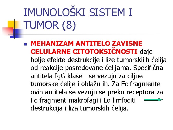 IMUNOLOŠKI SISTEM I TUMOR (8) n MEHANIZAM ANTITELO ZAVISNE CELULARNE CITOTOKSIČNOSTI daje bolje efekte