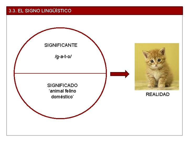 3. 3. EL SIGNO LINGÜÍSTICO SIGNIFICANTE /g-a-t-o/ SIGNIFICADO ‘animal felino doméstico’ REALIDAD 