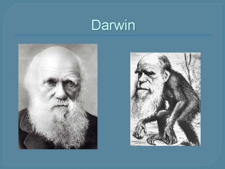 Darwin 