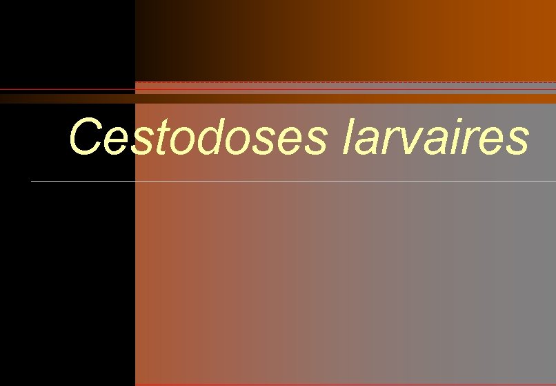 Cestodoses larvaires 