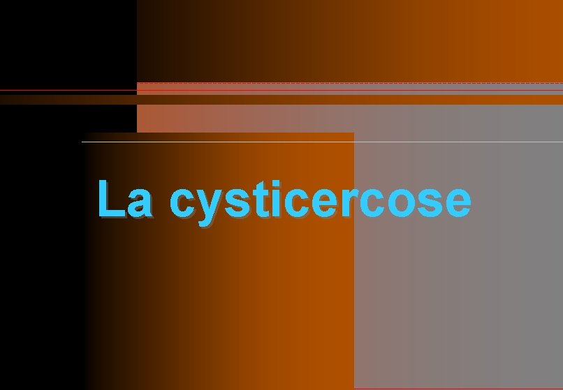 La cysticercose 