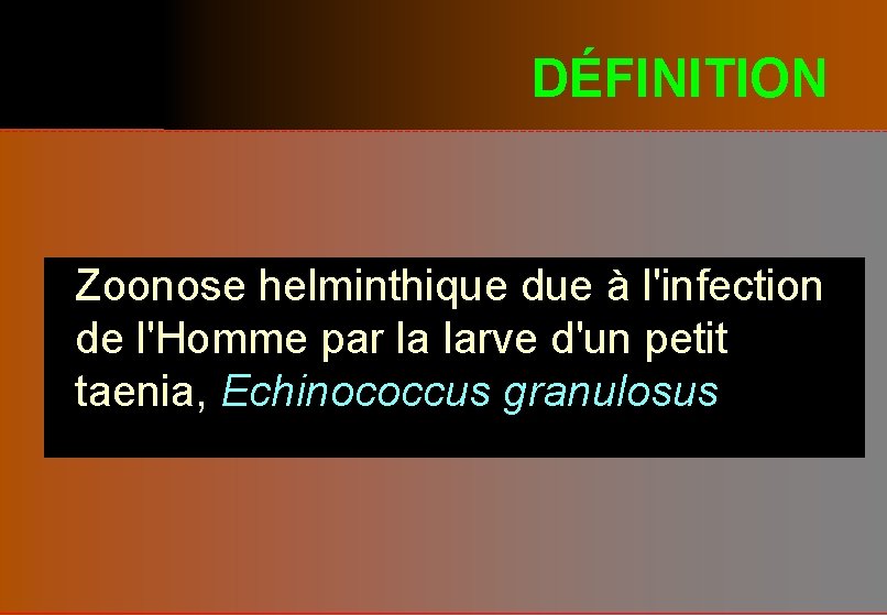 DÉFINITION Zoonose helminthique due à l'infection de l'Homme par la larve d'un petit taenia,