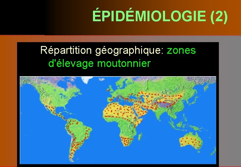 ÉPIDÉMIOLOGIE (2) Répartition géographique: zones d'élevage moutonnier 