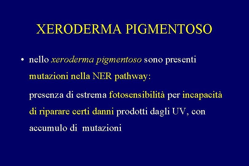XERODERMA PIGMENTOSO • nello xeroderma pigmentoso sono presenti mutazioni nella NER pathway: presenza di XERODERMA PIGMENTOSO • nello xeroderma pigmentoso sono presenti mutazioni nella NER pathway: presenza di