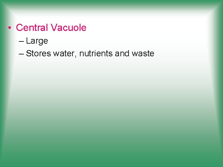  • Central Vacuole – Large – Stores water, nutrients and waste 