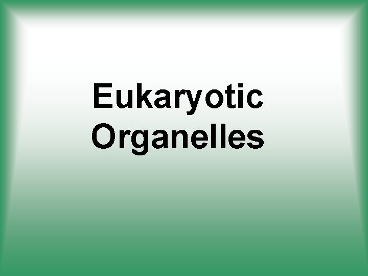 Eukaryotic Organelles 