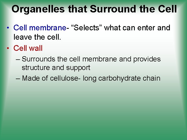 Organelles that Surround the Cell • Cell membrane- “Selects” what can enter and leave