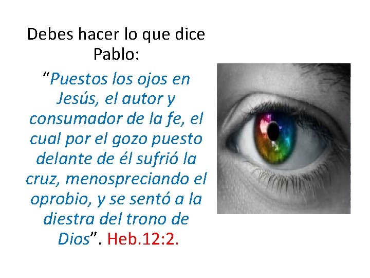 Debes hacer lo que dice Pablo: “Puestos los ojos en Jesús, el autor y