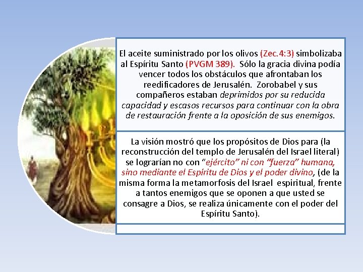 El aceite suministrado por los olivos (Zec. 4: 3) simbolizaba al Espíritu Santo (PVGM