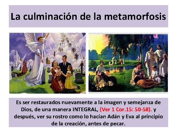 La culminación de la metamorfosis Es ser restaurados nuevamente a la imagen y semejanza