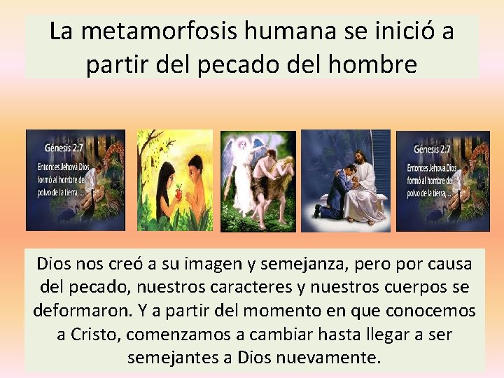 La metamorfosis humana se inició a partir del pecado del hombre Dios nos creó