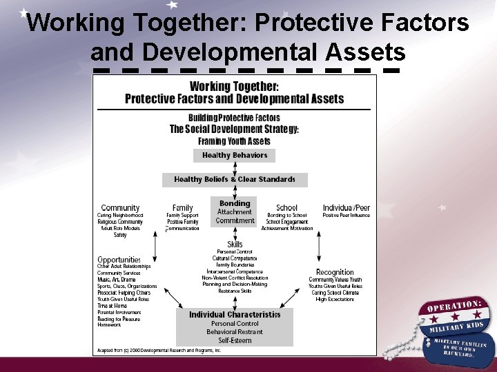 Working Together: Protective Factors and Developmental Assets 