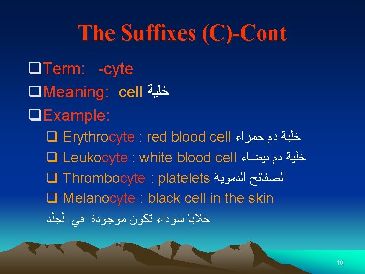 The Suffixes (C)-Cont q. Term: -cyte q. Meaning: cell ﺧﻠﻴﺔ q. Example: q Erythrocyte