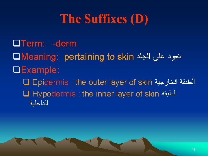 The Suffixes (D) q. Term: -derm q. Meaning: pertaining to skin ﺗﻌﻮﺩ ﻋﻠﻰ ﺍﻟﺠﻠﺪ