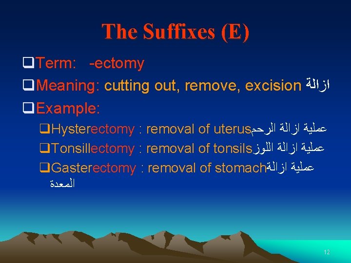 The Suffixes (E) q. Term: -ectomy q. Meaning: cutting out, remove, excision ﺍﺯﺍﻟﺔ q.