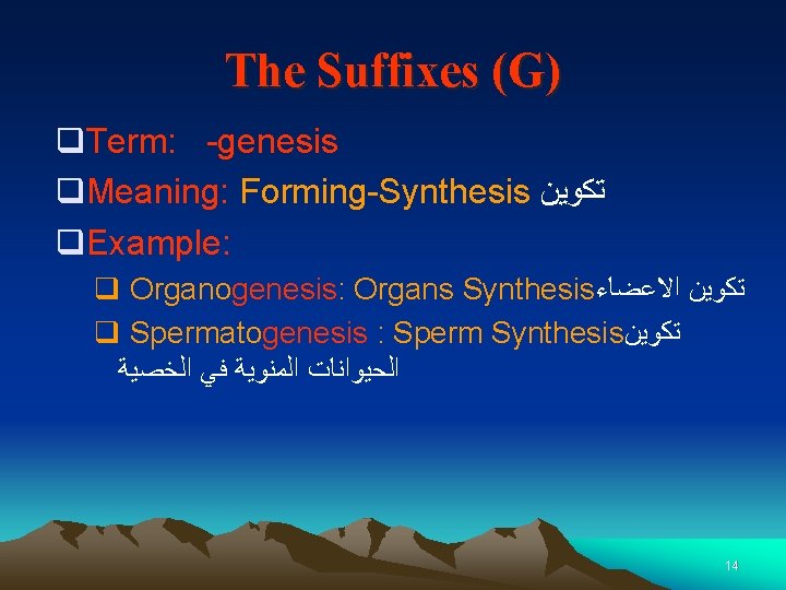 The Suffixes (G) q. Term: -genesis q. Meaning: Forming-Synthesis ﺗﻜﻮﻳﻦ q. Example: q Organogenesis: