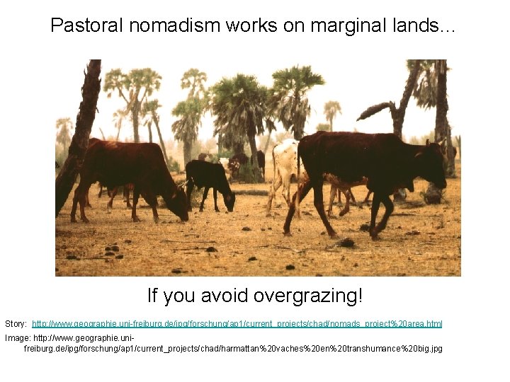 Pastoral nomadism works on marginal lands… If you avoid overgrazing! Story: http: //www. geographie.