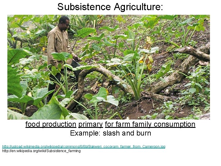 Subsistence Agriculture: food production primary for farm family consumption Example: slash and burn http: