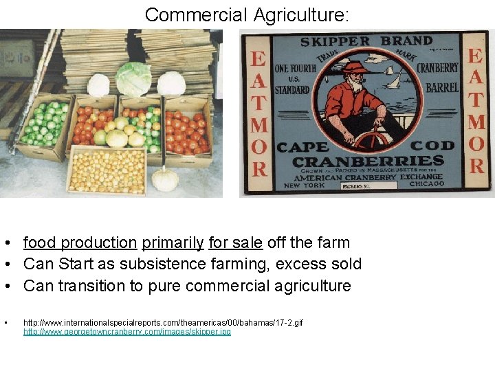 Commercial Agriculture: • food production primarily for sale off the farm • Can Start