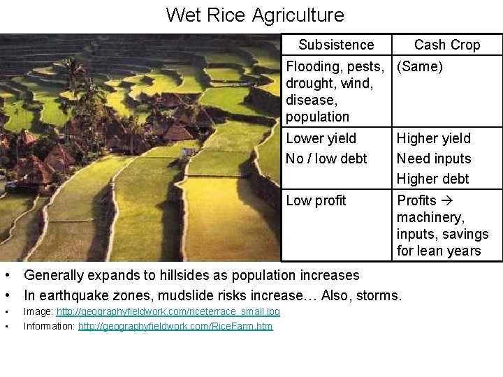 Wet Rice Agriculture Subsistence Cash Crop Flooding, pests, (Same) drought, wind, disease, population Lower