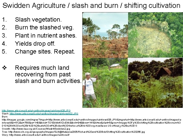 Swidden Agriculture / slash and burn / shifting cultivation 1. 2. 3. 4. 5.