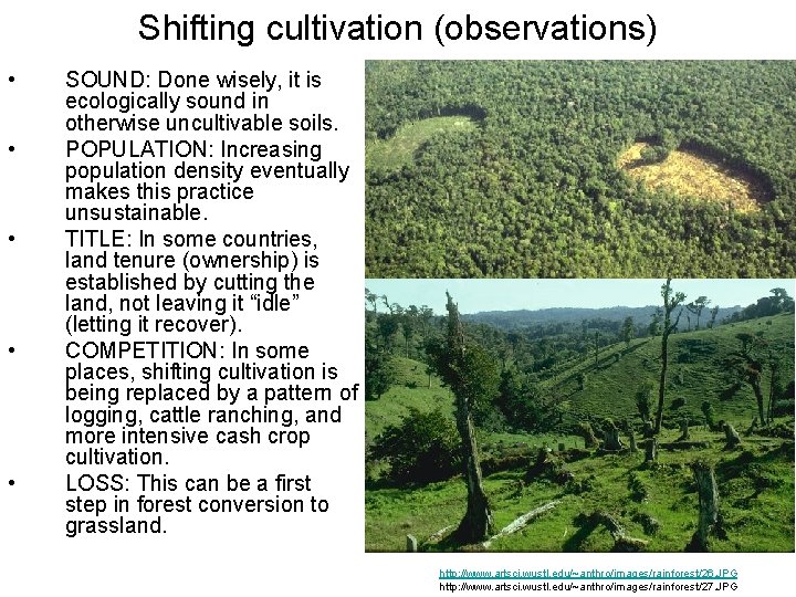 Shifting cultivation (observations) • • • SOUND: Done wisely, it is ecologically sound in