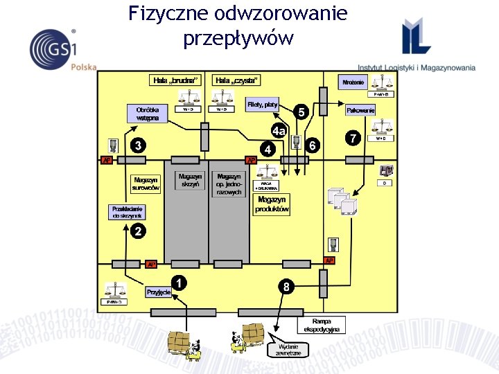 Fizyczne odwzorowanie przepływów 