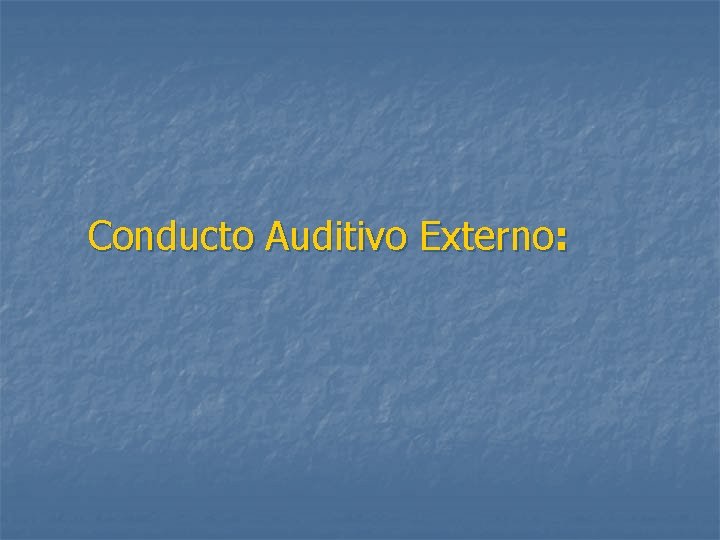 Conducto Auditivo Externo: 