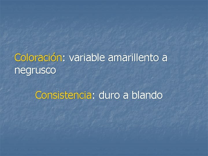 Coloración: variable amarillento a negrusco Consistencia: duro a blando 