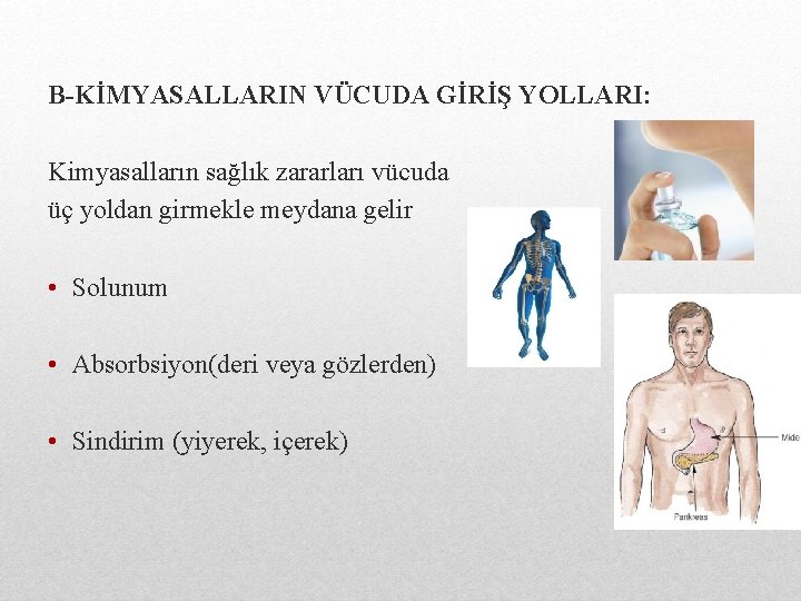 B-KİMYASALLARIN VÜCUDA GİRİŞ YOLLARI: Kimyasalların sağlık zararları vücuda üç yoldan girmekle meydana gelir •