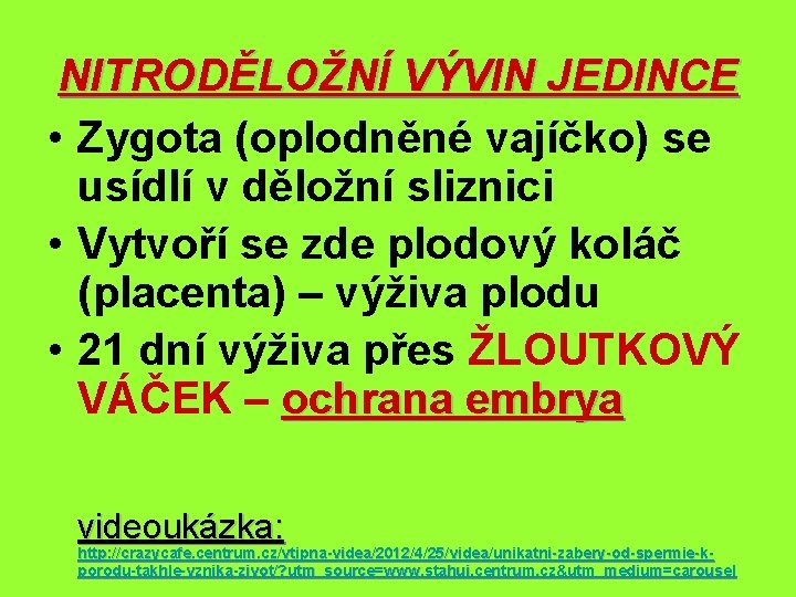 NITRODĚLOŽNÍ VÝVIN JEDINCE • Zygota (oplodněné vajíčko) se usídlí v děložní sliznici • Vytvoří