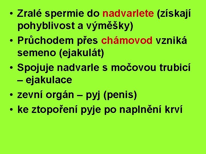  • Zralé spermie do nadvarlete (získají pohyblivost a výměšky) • Průchodem přes chámovod