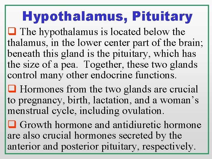 Hypothalamus, Pituitary q The hypothalamus is located below the thalamus, in the lower center Hypothalamus, Pituitary q The hypothalamus is located below the thalamus, in the lower center
