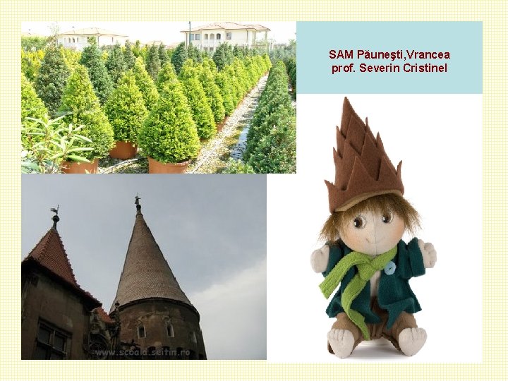 SAM Păuneşti, Vrancea prof. Severin Cristinel SAM Păuneşti, Vrancea prof. Severin Cristinel