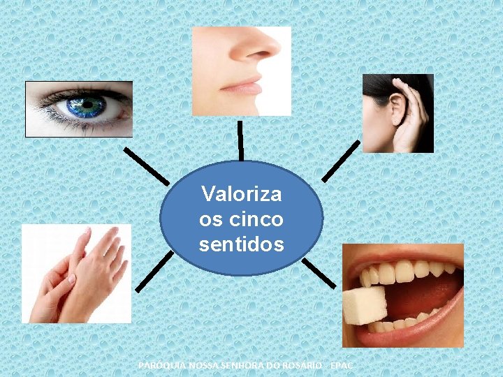 Valoriza os cinco sentidos PARÓQUIA NOSSA SENHORA DO ROSÁRIO - EPAC 