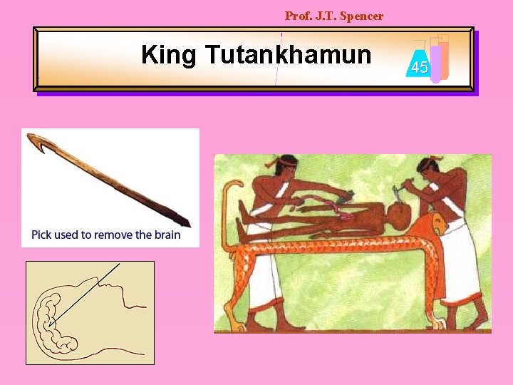 Prof. J. T. Spencer King Tutankhamun 45 