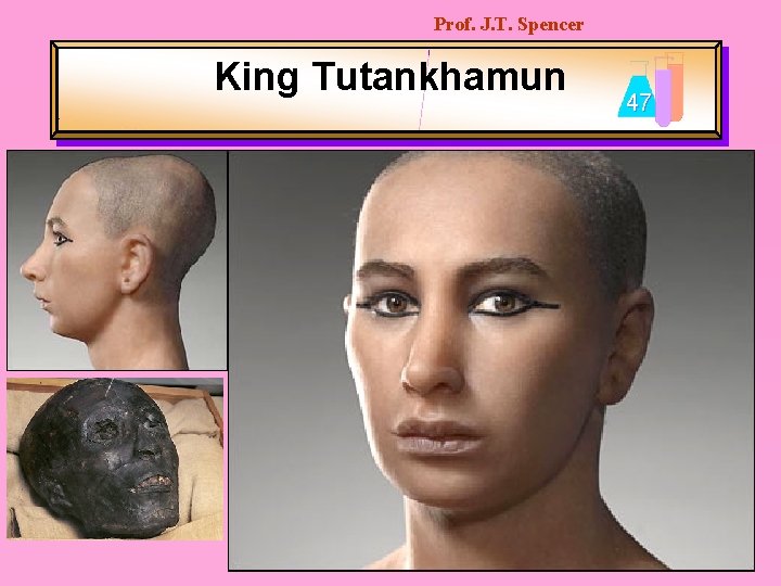 Prof. J. T. Spencer King Tutankhamun 47 