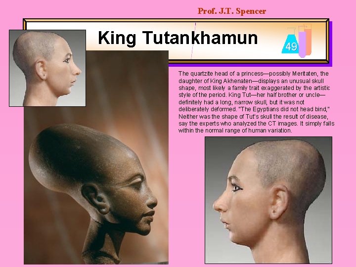 Prof. J. T. Spencer King Tutankhamun 49 The quartzite head of a princess—possibly Meritaten,