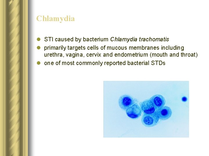 Chlamydia l STI caused by bacterium Chlamydia trachomatis l primarily targets cells of mucous Chlamydia l STI caused by bacterium Chlamydia trachomatis l primarily targets cells of mucous