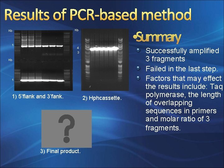 Results of PCR-based method • Summary Kb Kb 1 4 3 Kb 1 1)