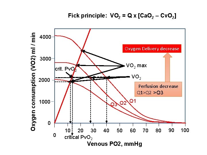Oxygen consumption (VO 2) ml / min Fick principle: VO 2 = Q x Oxygen consumption (VO 2) ml / min Fick principle: VO 2 = Q x