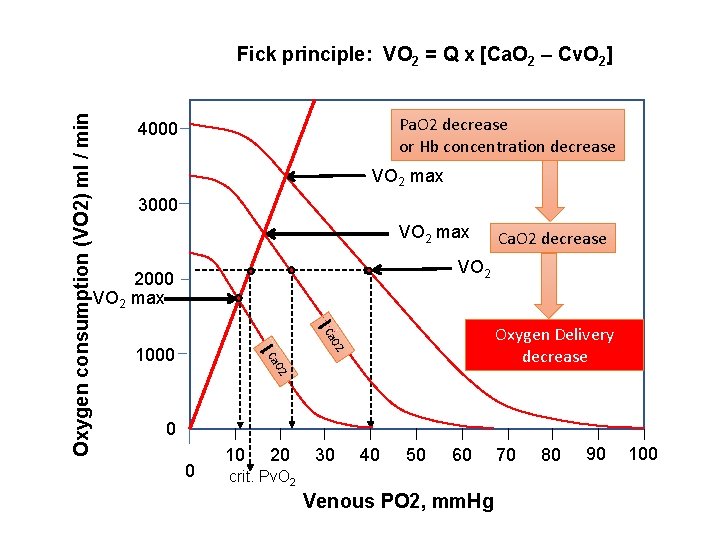 Pa. O 2 decrease or Hb concentration decrease 4000 VO 2 max 3000 VO Pa. O 2 decrease or Hb concentration decrease 4000 VO 2 max 3000 VO