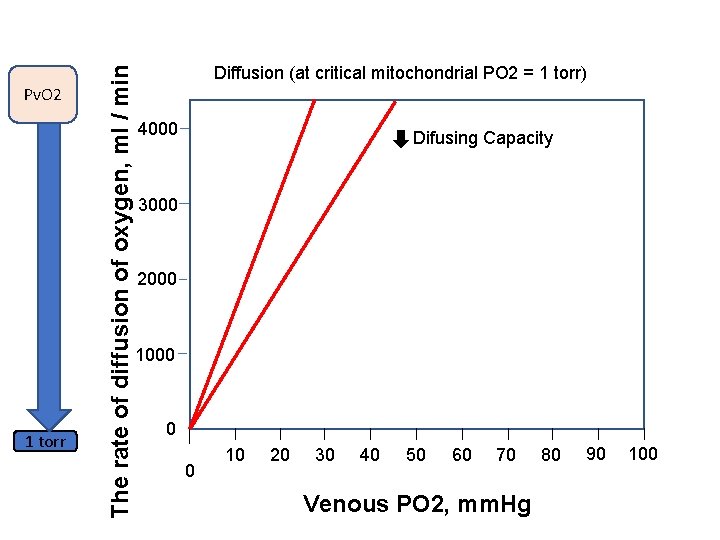 1 torr The rate of diffusion of oxygen, ml / min Pv. O 2 1 torr The rate of diffusion of oxygen, ml / min Pv. O 2