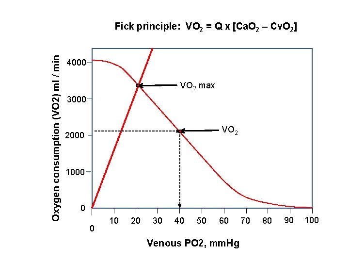 Oxygen consumption (VO 2) ml / min Fick principle: VO 2 = Q x Oxygen consumption (VO 2) ml / min Fick principle: VO 2 = Q x