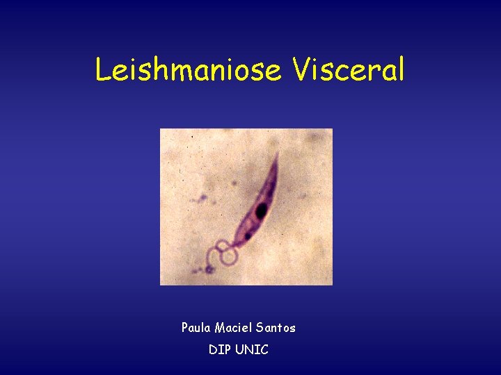Leishmaniose Visceral Paula Maciel Santos DIP UNIC 