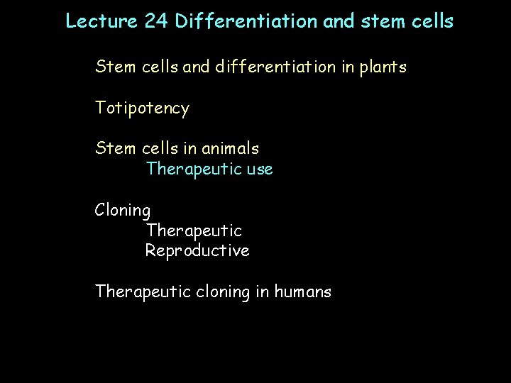 Lecture 24 Differentiation and stem cells Stem cells and differentiation in plants Totipotency Stem