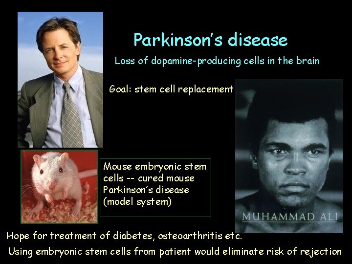 Parkinson’s disease Loss of dopamine-producing cells in the brain Goal: stem cell replacement Mouse